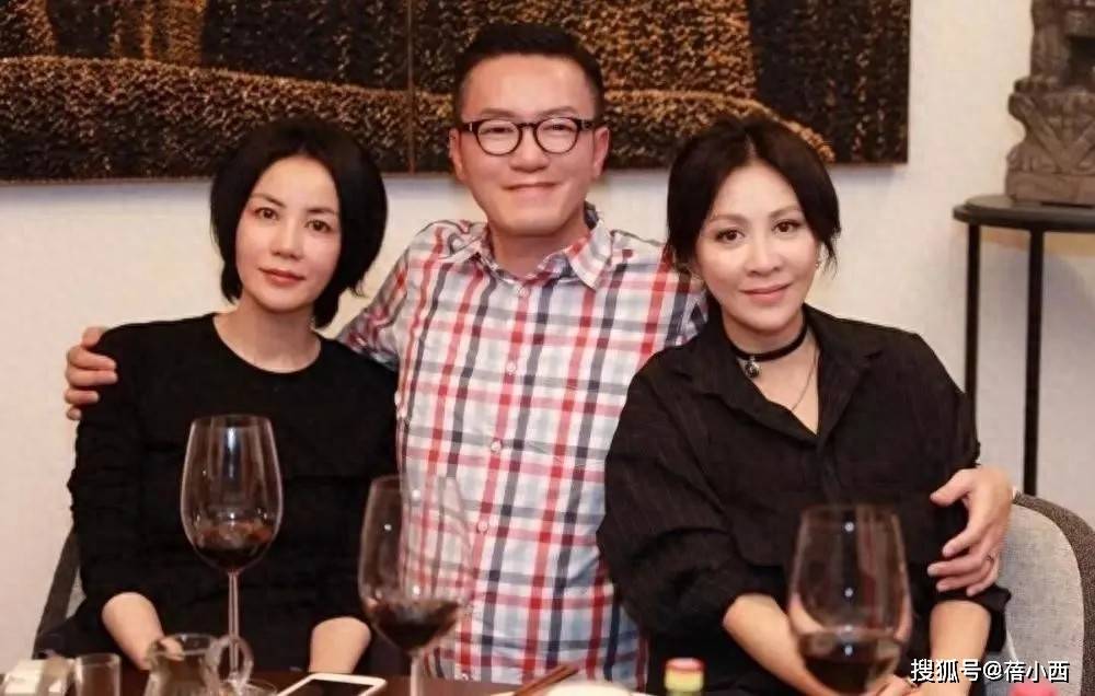 豪宅聚会素颜穿一身黑出镜美得似少女瓦力游戏55岁王菲与59岁刘嘉玲在(图4)